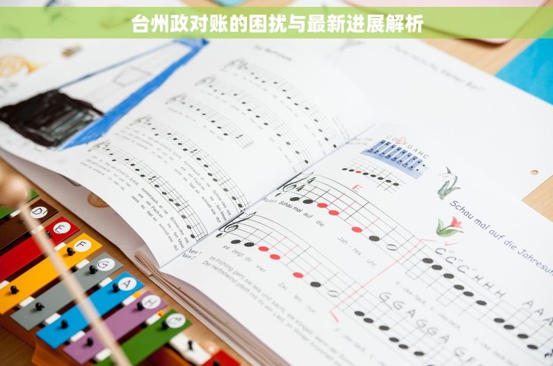 台州政对账的困扰与最新进展解析 台州政对账的困扰与最新进展解析