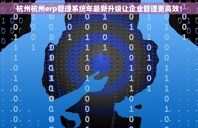 杭州杭州erp管理系统年最新升级让企业管理更高效！