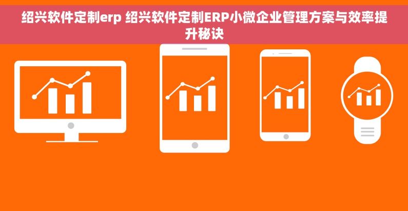 绍兴软件定制erp 绍兴软件定制ERP小微企业管理方案与效率提升秘诀 绍兴软件定制erp 绍兴软件定制ERP小微企业管理方案与效率提升秘诀