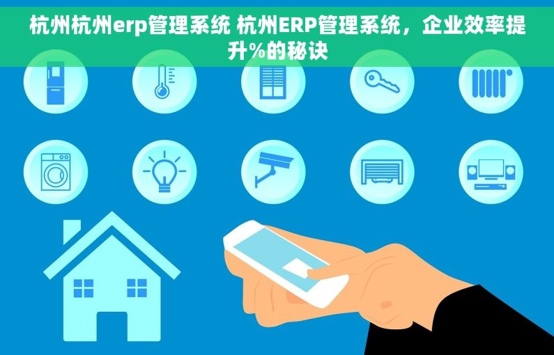 杭州杭州erp管理系统 杭州ERP管理系统，企业效率提升%的秘诀
