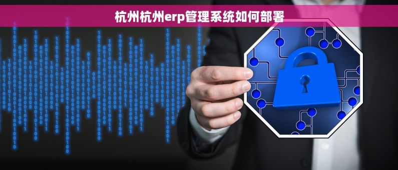 杭州杭州erp管理系统如何部署 杭州杭州erp管理系统如何部署