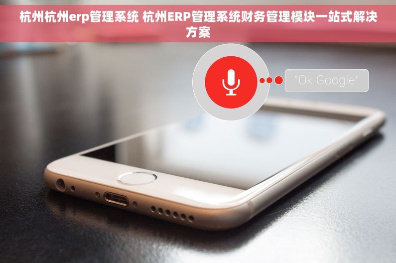 杭州杭州erp管理系统 杭州ERP管理系统财务管理模块一站式解决方案 杭州杭州erp管理系统 杭州ERP管理系统财务管理模块一站式解决方案