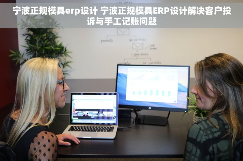 宁波正规模具erp设计 宁波正规模具ERP设计解决客户投诉与手工记账问题 宁波正规模具erp设计 宁波正规模具ERP设计解决客户投诉与手工记账问题