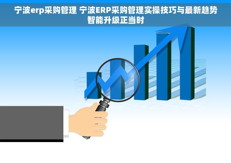 宁波erp采购管理 宁波ERP采购管理实操技巧与最新趋势智能升级正当时 宁波erp采购管理 宁波ERP采购管理实操技巧与最新趋势智能升级正当时