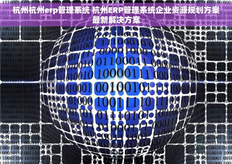 杭州杭州erp管理系统 杭州ERP管理系统企业资源规划方案最新解决方案