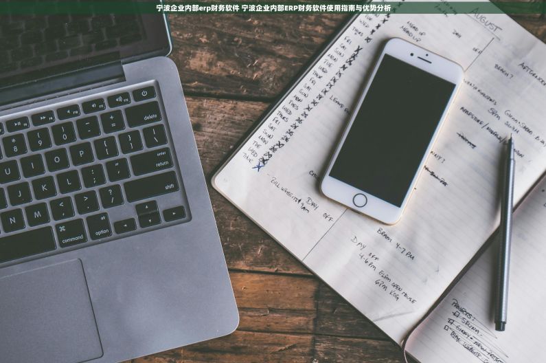宁波企业内部erp财务软件 宁波企业内部ERP财务软件使用指南与优势分析 宁波企业内部erp财务软件 宁波企业内部ERP财务软件使用指南与优势分析