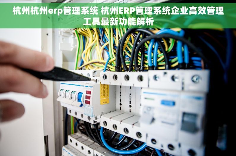 杭州杭州erp管理系统 杭州ERP管理系统企业高效管理工具最新功能解析 杭州杭州erp管理系统 杭州ERP管理系统企业高效管理工具最新功能解析
