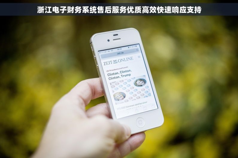 浙江电子财务系统售后服务优质高效快速响应支持