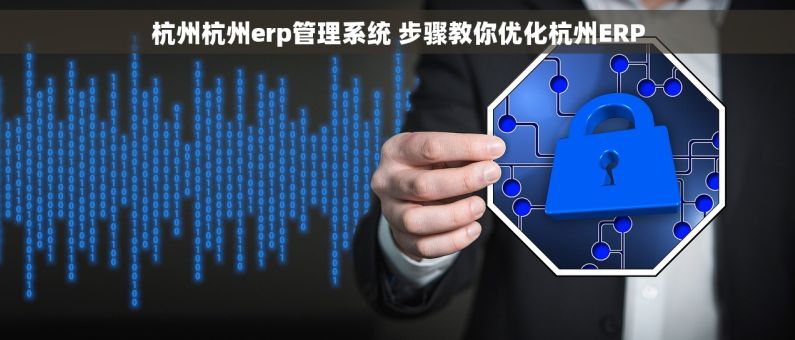 杭州杭州erp管理系统 步骤教你优化杭州ERP