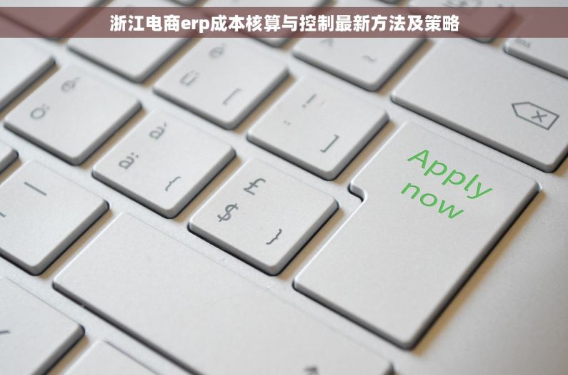 浙江电商erp成本核算与控制最新方法及策略 浙江电商erp成本核算与控制最新方法及策略