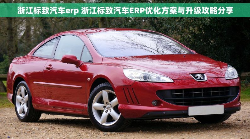 浙江标致汽车erp 浙江标致汽车ERP优化方案与升级攻略分享 浙江标致汽车erp 浙江标致汽车ERP优化方案与升级攻略分享