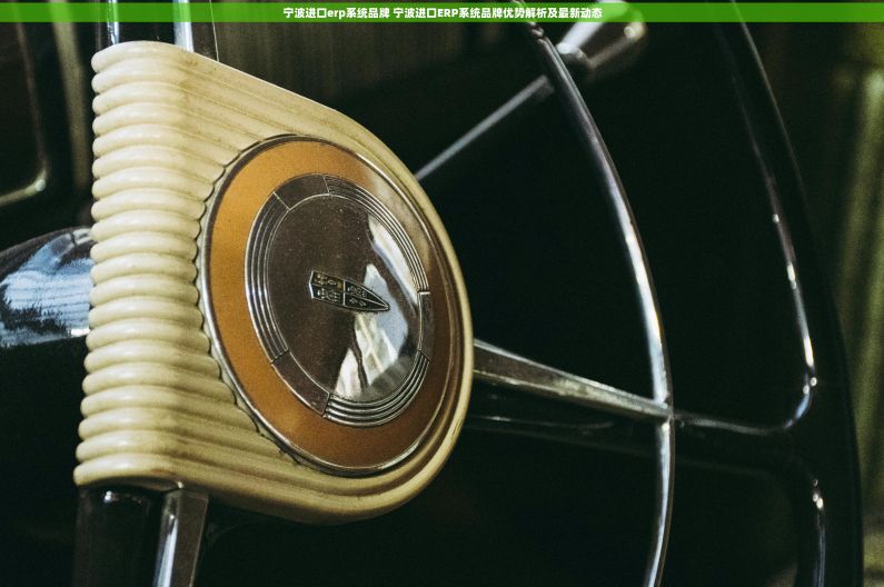 宁波进口erp系统品牌 宁波进口ERP系统品牌优势解析及最新动态