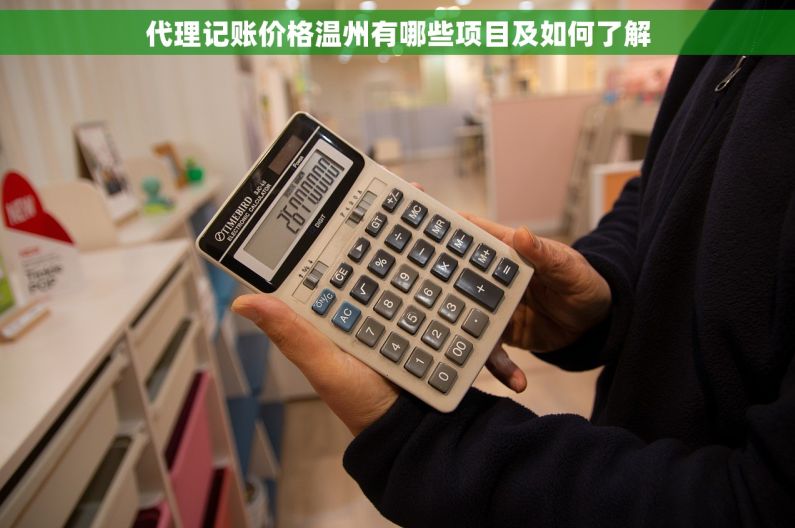 代理记账价格温州有哪些项目及如何了解
