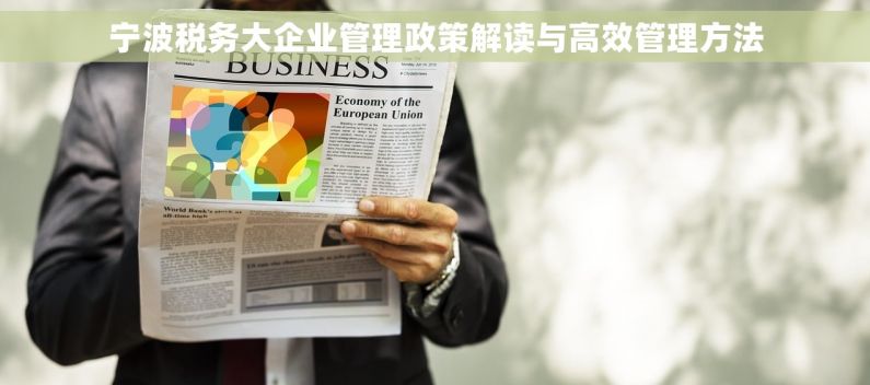 宁波税务大企业管理政策解读与高效管理方法
