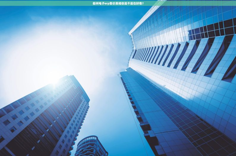 衢州电子erp售价真相你是不是也好奇？