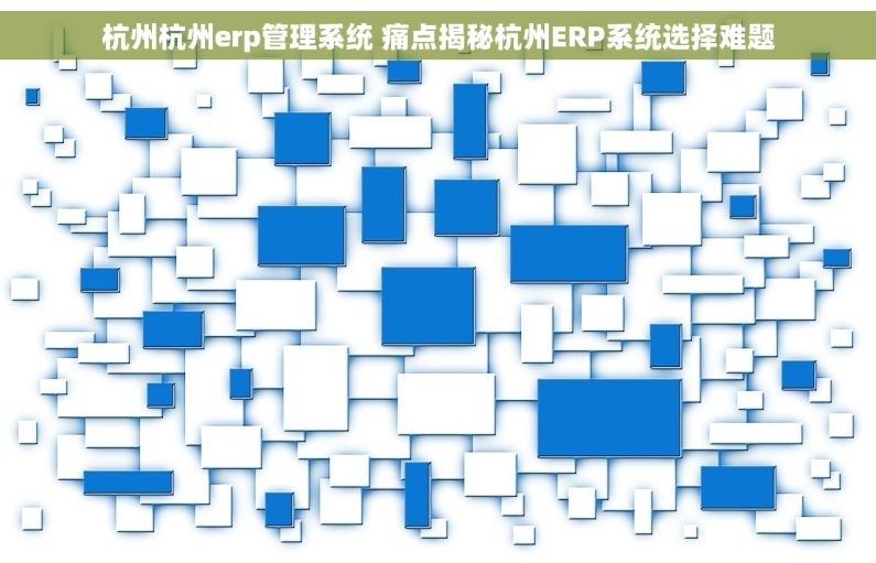 杭州杭州erp管理系统 痛点揭秘杭州ERP系统选择难题
