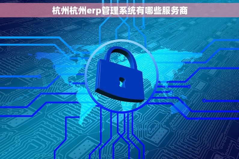 杭州杭州erp管理系统有哪些服务商