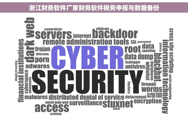 浙江财务软件厂家财务软件税务申报与数据备份 浙江财务软件厂家财务软件税务申报与数据备份
