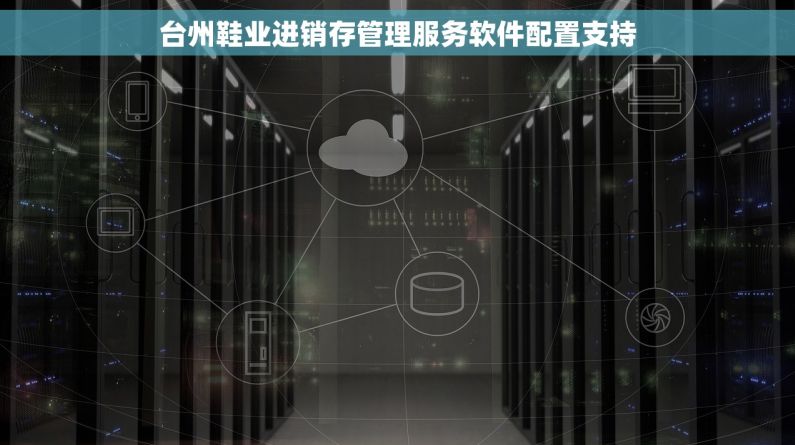 台州鞋业进销存管理服务软件配置支持 台州鞋业进销存管理服务软件配置支持
