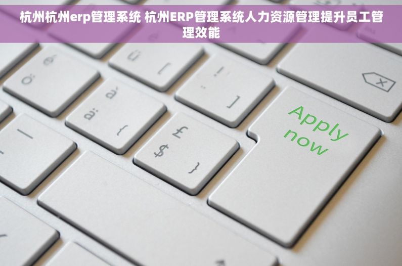 杭州杭州erp管理系统 杭州ERP管理系统人力资源管理提升员工管理效能
