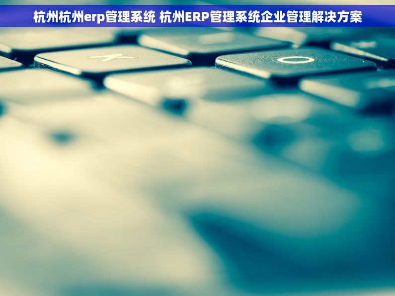 杭州杭州erp管理系统 杭州ERP管理系统企业管理解决方案 杭州杭州erp管理系统 杭州ERP管理系统企业管理解决方案