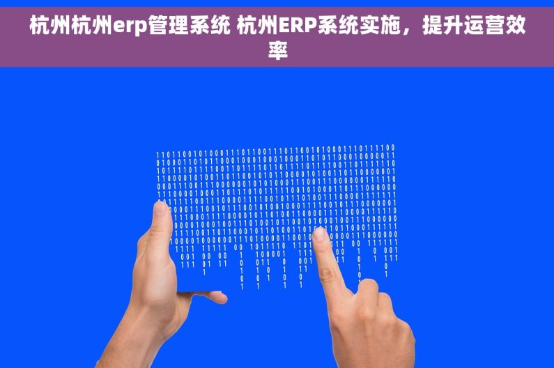 杭州杭州erp管理系统 杭州ERP系统实施，提升运营效率