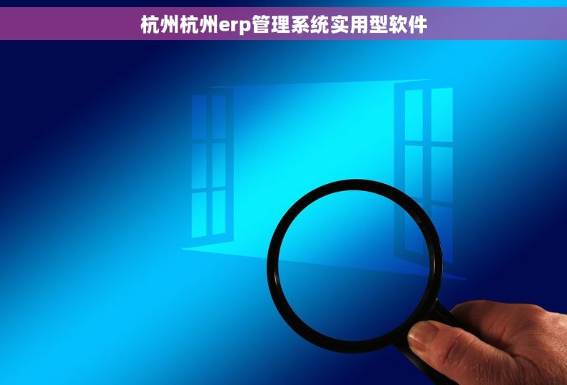 杭州杭州erp管理系统实用型软件 杭州杭州erp管理系统实用型软件