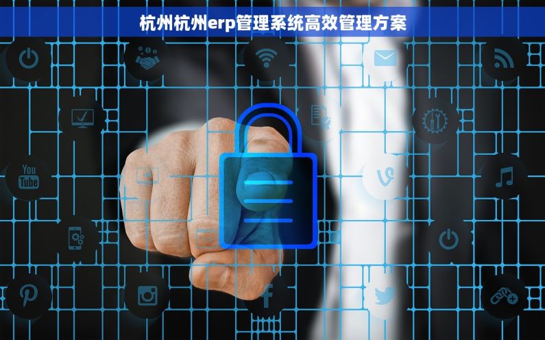 杭州杭州erp管理系统高效管理方案 杭州杭州erp管理系统高效管理方案