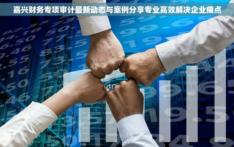 嘉兴财务专项审计最新动态与案例分享专业高效解决企业痛点 嘉兴财务专项审计最新动态与案例分享专业高效解决企业痛点