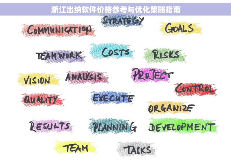 浙江出纳软件价格参考与优化策略指南