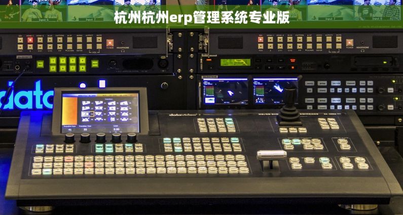 杭州杭州erp管理系统专业版