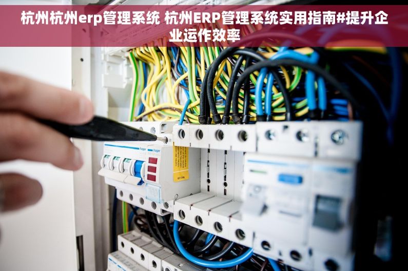 杭州杭州erp管理系统 杭州ERP管理系统实用指南#提升企业运作效率