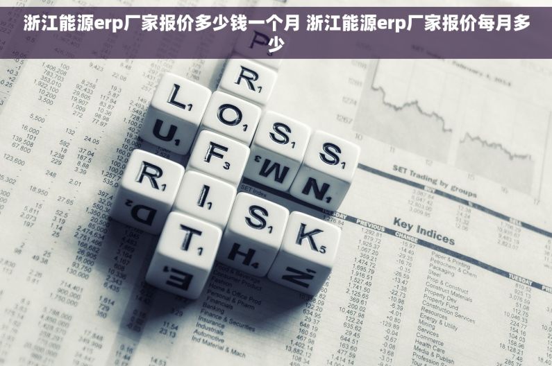 浙江能源erp厂家报价多少钱一个月 浙江能源erp厂家报价每月多少 浙江能源erp厂家报价多少钱一个月 浙江能源erp厂家报价每月多少