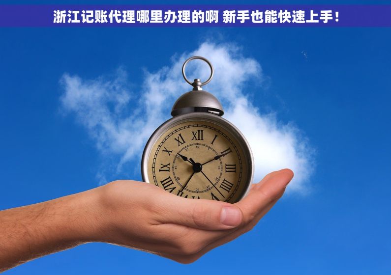 浙江记账代理哪里办理的啊 新手也能快速上手! 浙江记账代理哪里办理的啊 新手也能快速上手!