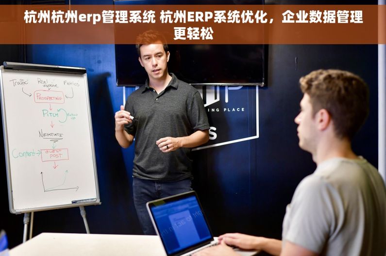 杭州杭州erp管理系统 杭州ERP系统优化，企业数据管理更轻松