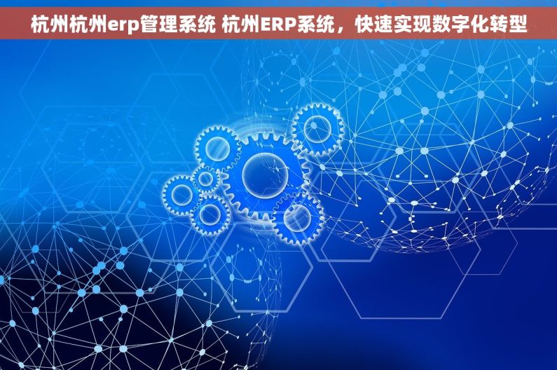 杭州杭州erp管理系统 杭州ERP系统，快速实现数字化转型
