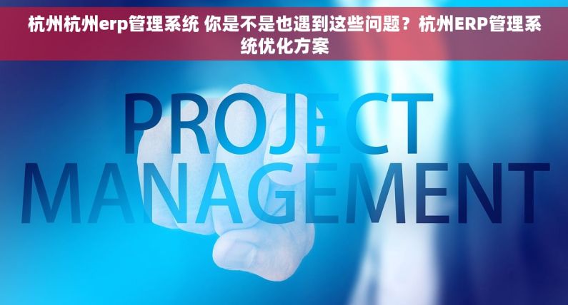 杭州杭州erp管理系统 你是不是也遇到这些问题？杭州ERP管理系统优化方案