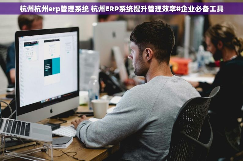 杭州杭州erp管理系统 杭州ERP系统提升管理效率#企业必备工具