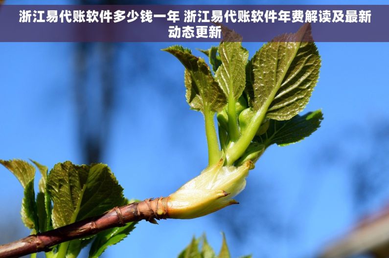 浙江易代账软件多少钱一年 浙江易代账软件年费解读及最新动态更新 浙江易代账软件多少钱一年 浙江易代账软件年费解读及最新动态更新