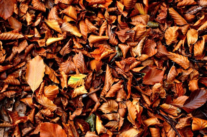 浙江易代账软件多少钱一年 浙江易代账软件年费解读及最新动态更新 浙江易代账软件多少钱一年 浙江易代账软件年费解读及最新动态更新