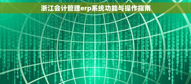 浙江会计管理erp系统功能与操作指南