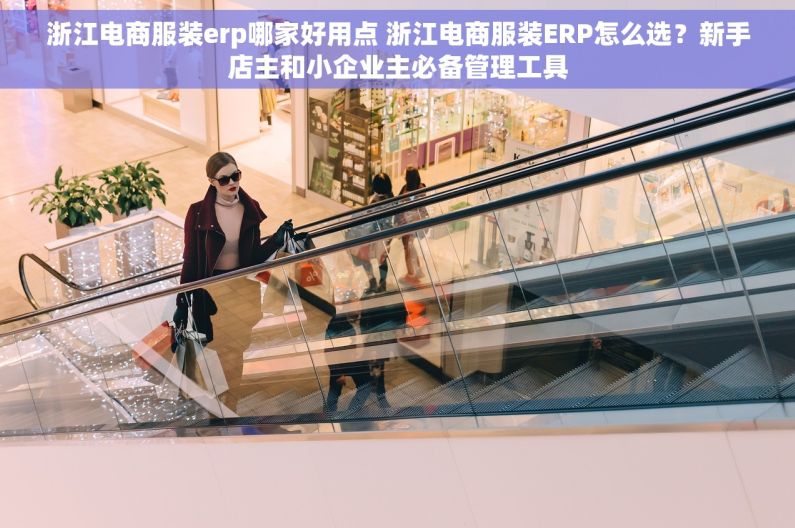 浙江电商服装erp哪家好用点 浙江电商服装ERP怎么选？新手店主和小企业主必备管理工具