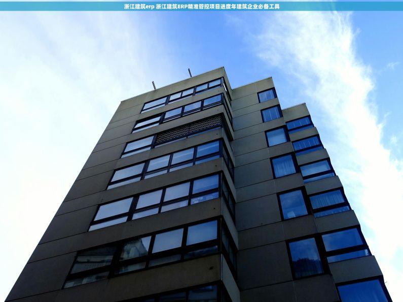 浙江建筑erp 浙江建筑ERP精准管控项目进度年建筑企业必备工具