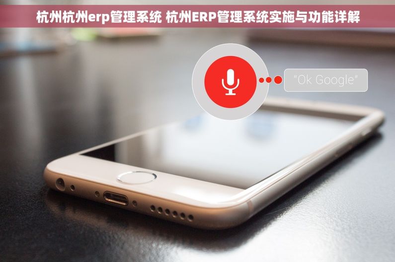 杭州杭州erp管理系统 杭州ERP管理系统实施与功能详解