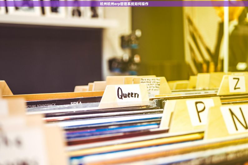 杭州杭州erp管理系统如何操作