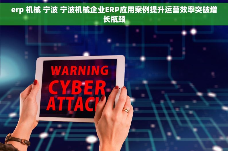 erp 机械 宁波 宁波机械企业ERP应用案例提升运营效率突破增长瓶颈