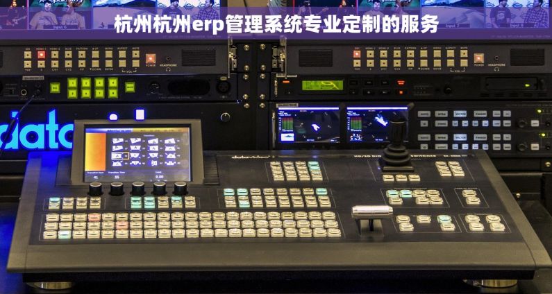 杭州杭州erp管理系统专业定制的服务