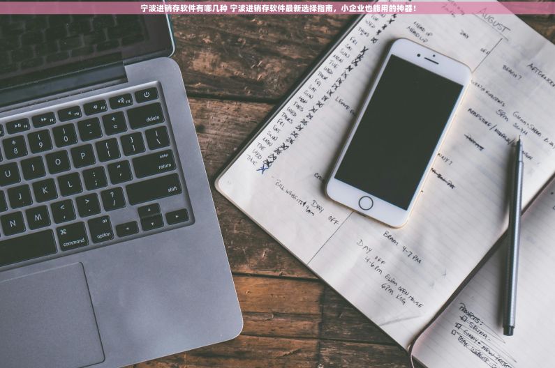 宁波进销存软件有哪几种 宁波进销存软件最新选择指南，小企业也能用的神器！
