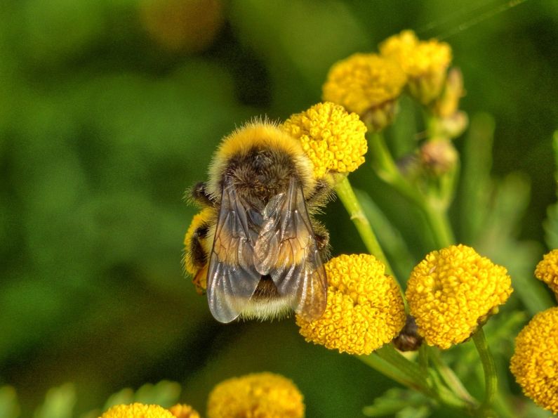 银企对账金额有限制吗浙江 银企对账金额限制浙江最新动态及操作方法