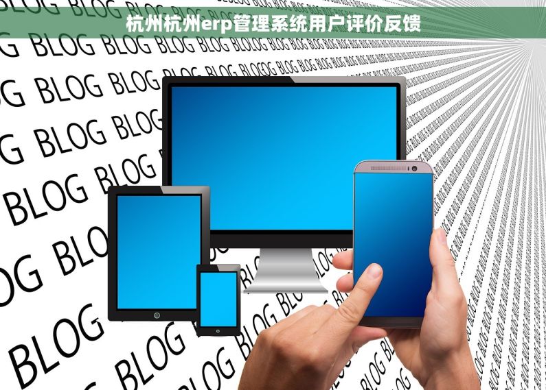 杭州杭州erp管理系统用户评价反馈